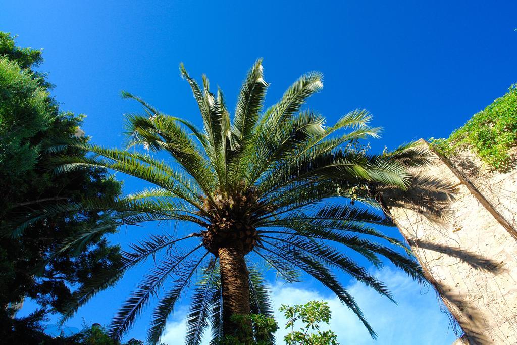 Vila Ca'N Perlita PMI Exteriér fotografie